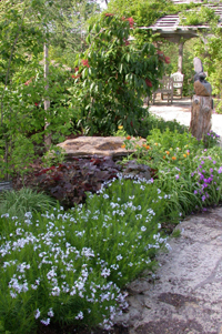 Home Gardening Area